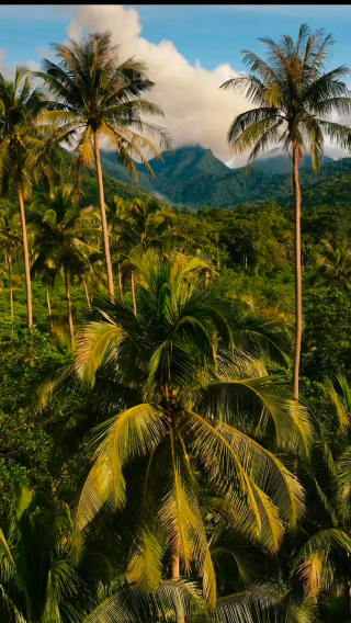 🏝️ Koh Chang Island – Thailand’s Untamed Jungle Paradise