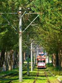 A Quiet Charm in the North: A Day in Changchun