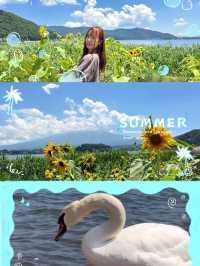 富士山六大熱門點·日川時計店·山中湖·羅森·沉浸式美景一日遊