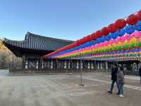 South Korea Itinerary 4: Daegu's Hidden Gem Getaway