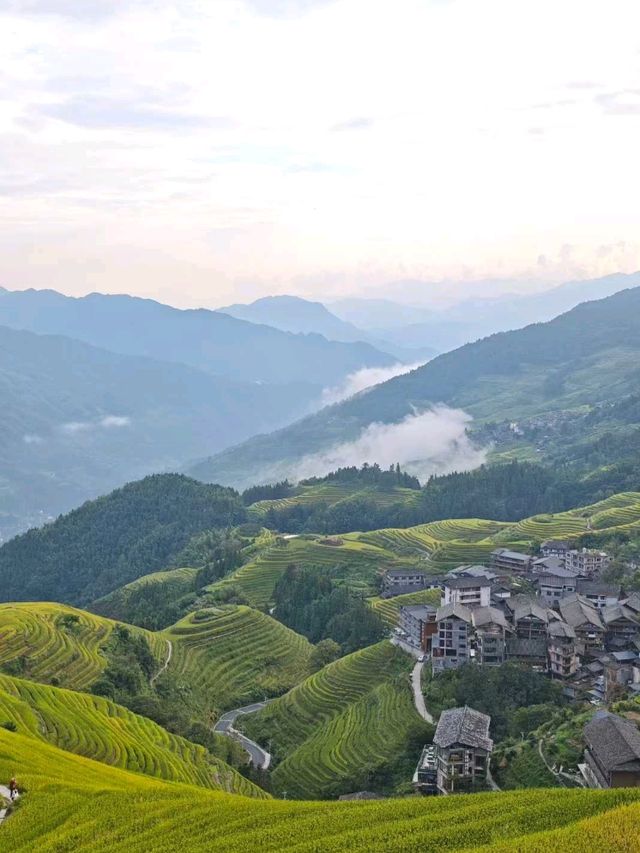 🌾 Longji Rice Terraces: A Living Masterpiece in the Mountains 🌄