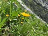 🥾 High Tatras Summer Hike: Alpine Adventure in Slovakia