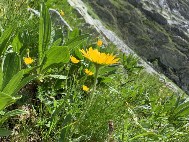 🥾 High Tatras Summer Hike: Alpine Adventure in Slovakia