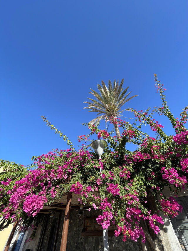 🌊 Santorini – Cliffs, Caldera & Timeless Beauty 🏝️✨