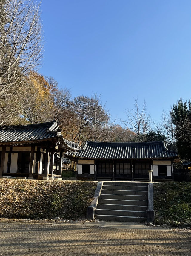 Autumn Suwon Vibes🍂