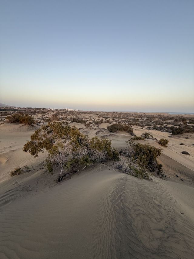The Dunes of Maspalomas, Gran Canaria 🏜️
