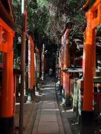 1000 Torii Gate Magic🛤️