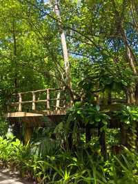 Мальдивы с малышом