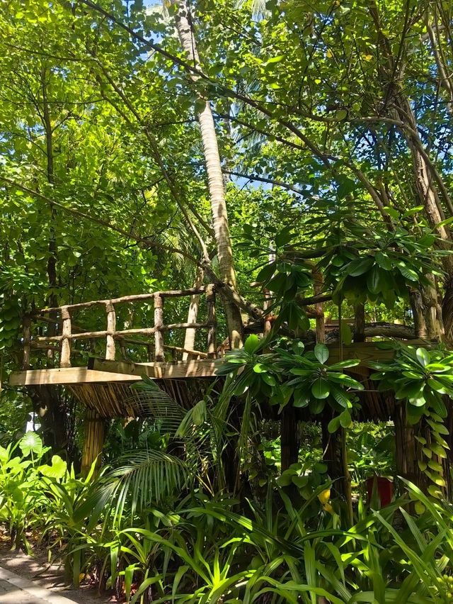 Мальдивы с малышом Мальдивы с малышом