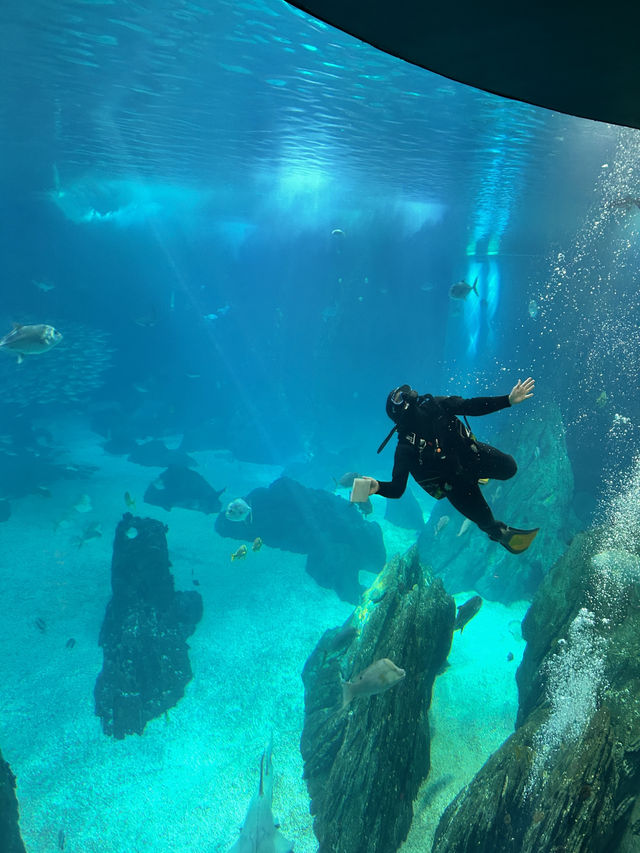 🌊 里斯本海洋博物館遊記