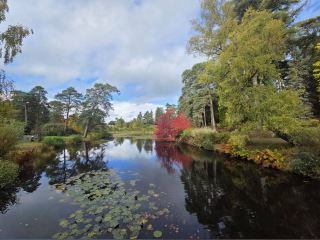 Bedgebury National Pinetum and Forest