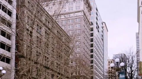 Emerald Awakening: The Sustainable Spirit of Seattle 2026 — traveler post in Edmonds