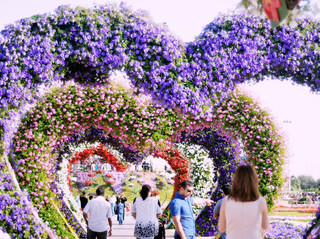 綻放奇蹟：杜拜奇蹟花園春季逃逸之旅 