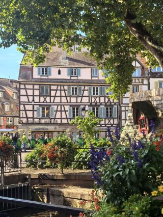 Colmar — The Colorful Fairytale Town 🌳