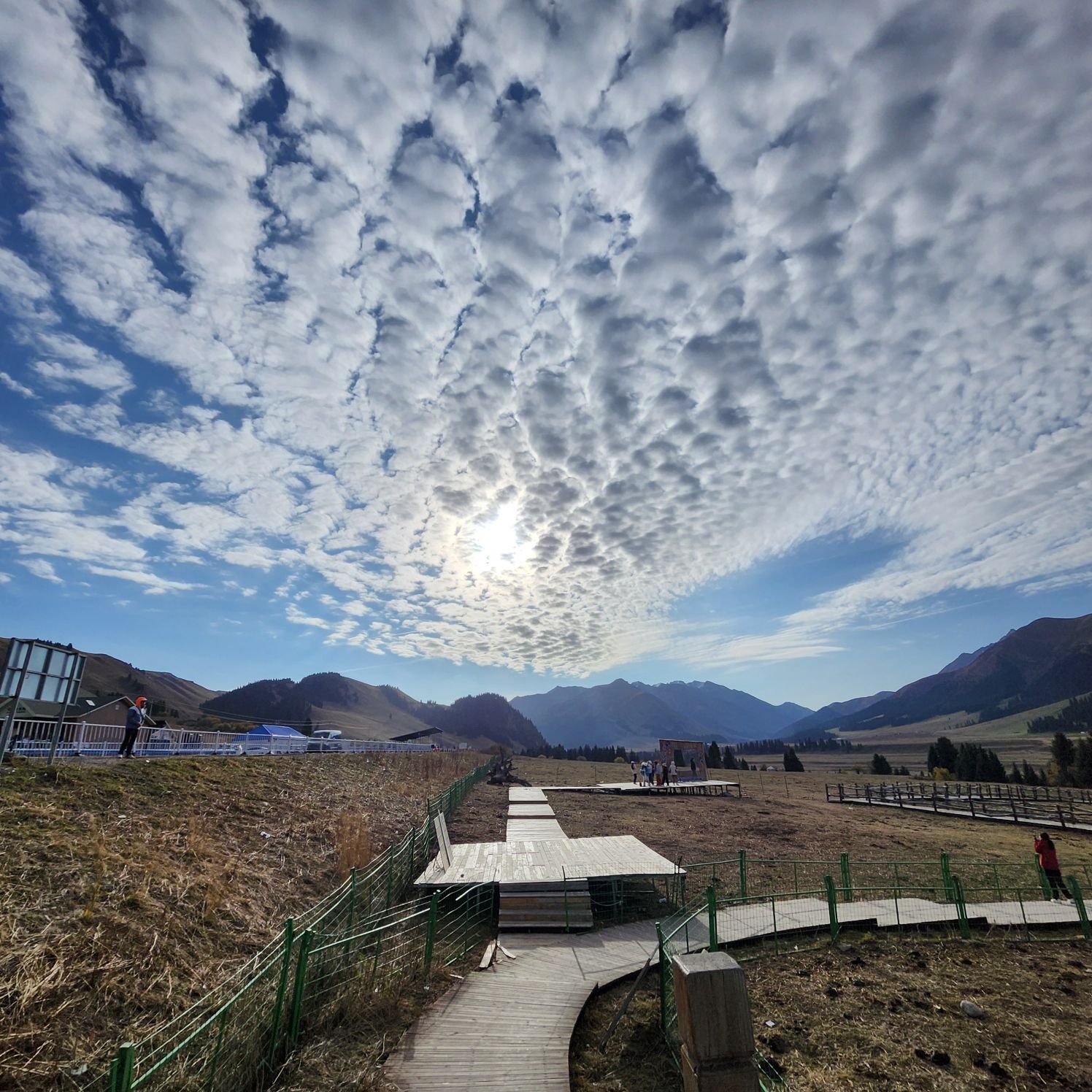 Exploring Northern Xinjiang's Diverse Beauty with a Thoughtful Driver