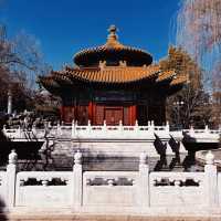 Horticultural Expo Park, 📍Kunming