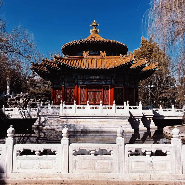 Horticultural Expo Park, 📍Kunming