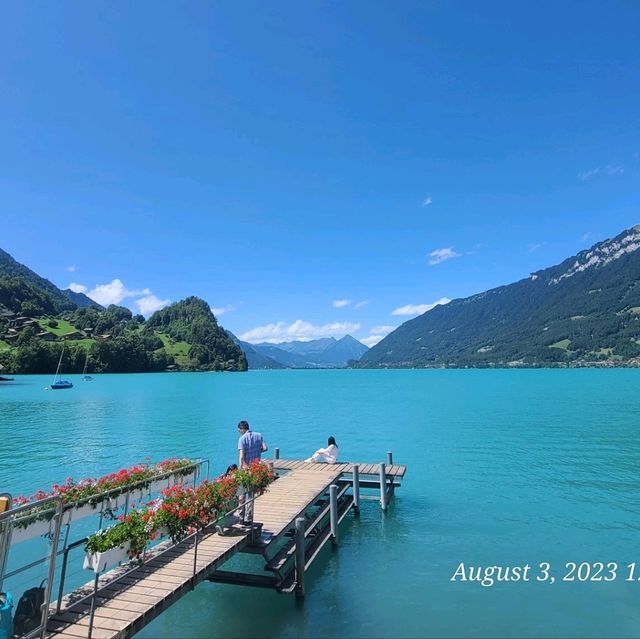 "Crash Landed" in Iseltwald by Lake Brienz