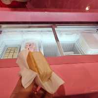 Ice Cream Museum Singapore 🍨