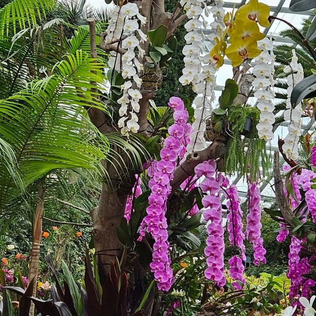 Gardens by the Bay