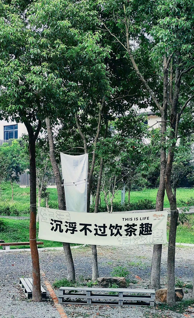 南京一個特別適合曬太陽發呆的小地方!!