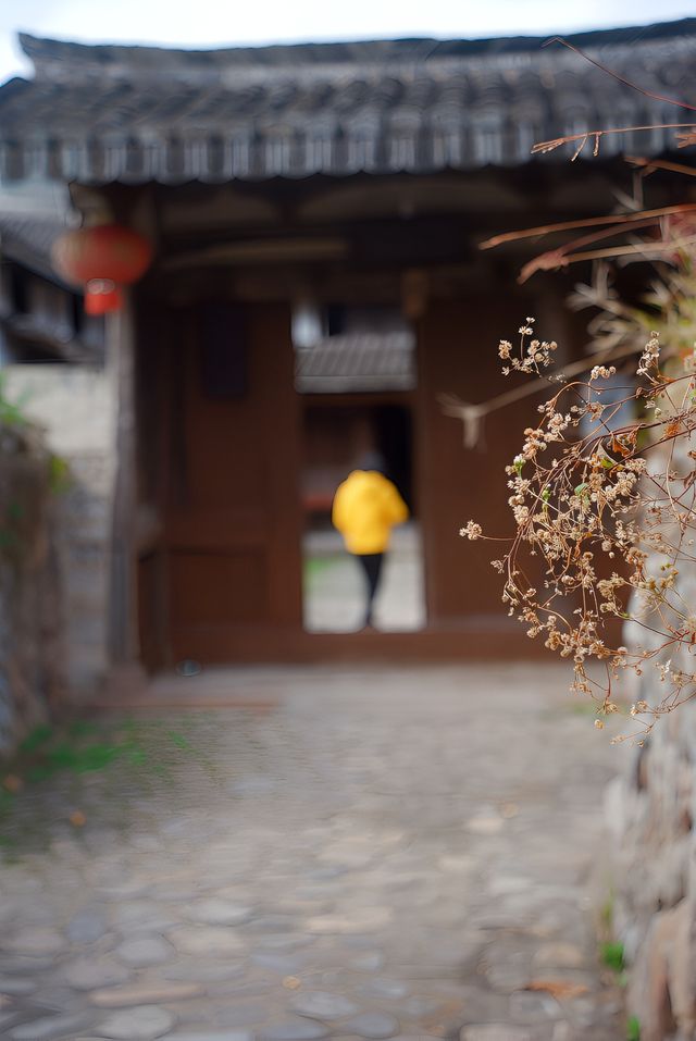 初冬的嶼北,在質樸之外,是斑斕的色彩 初冬的嶼北,在質樸之外,是斑斕的色彩