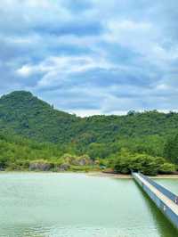 真不在新西蘭在廣東推開門即是山林雲海