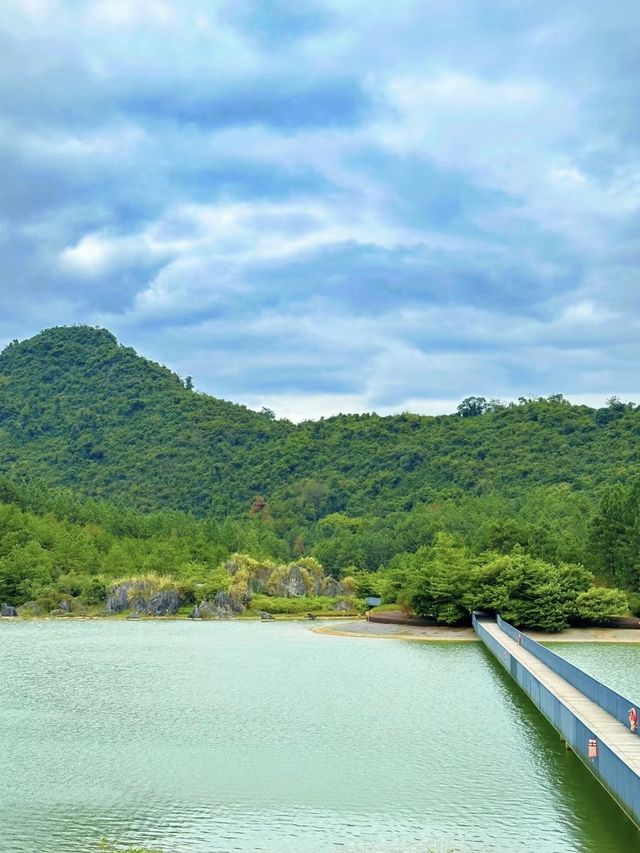 真不在新西蘭在廣東推開門即是山林雲海