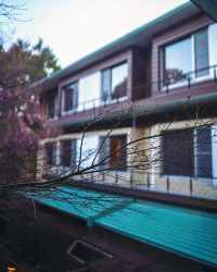 A pet-friendly resort in Hakone 🐕