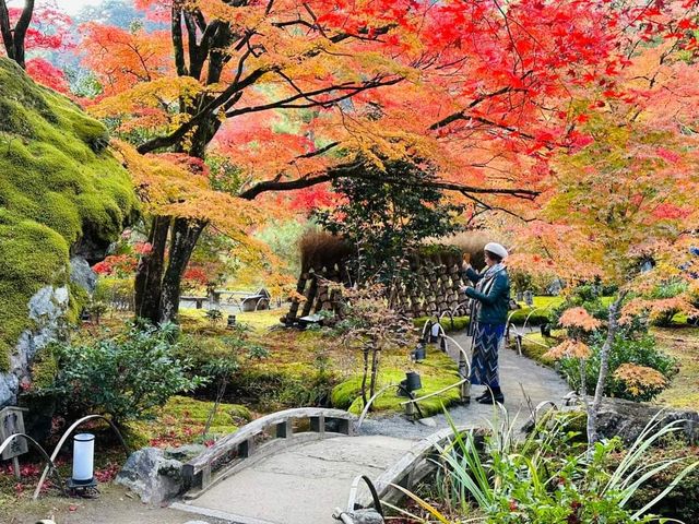 岚山秋楓