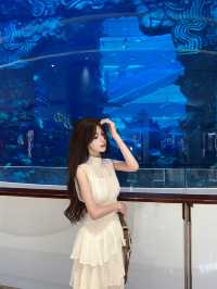 重慶最大的室內水族館！一起來看海底星空