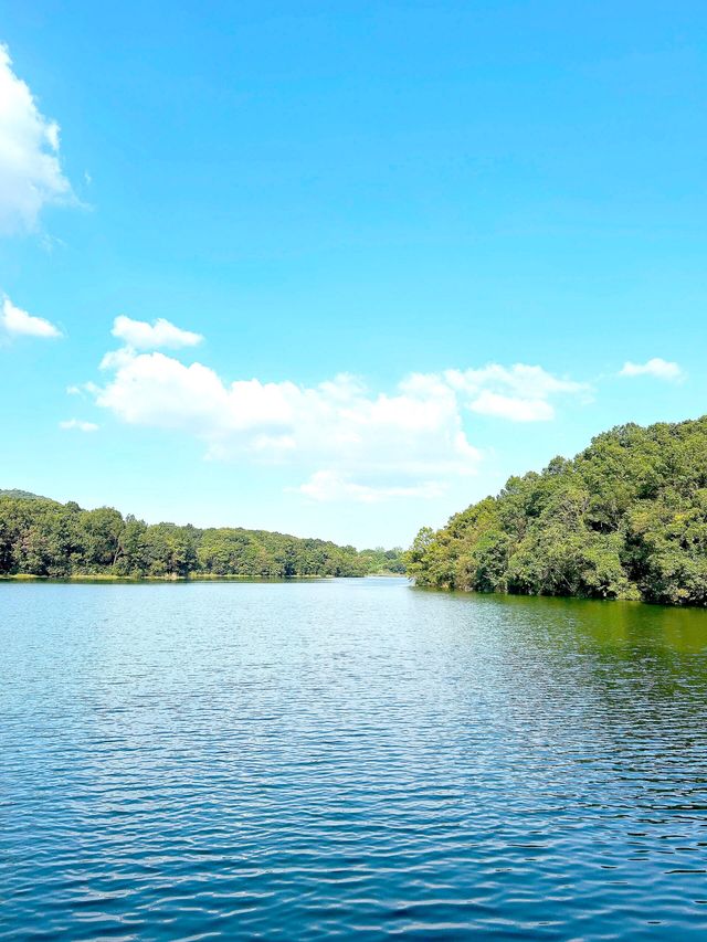南京老山國家森林公園 | 森林氧吧，徒步踏青好去處