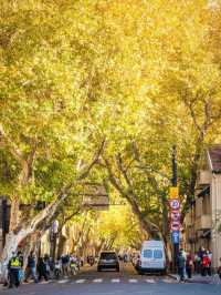 人生建議:12月逛完這些小馬路再離開上海!