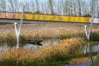 河南 周口沙河灣濕地公園 | 城市生態彈性修復的重要載體