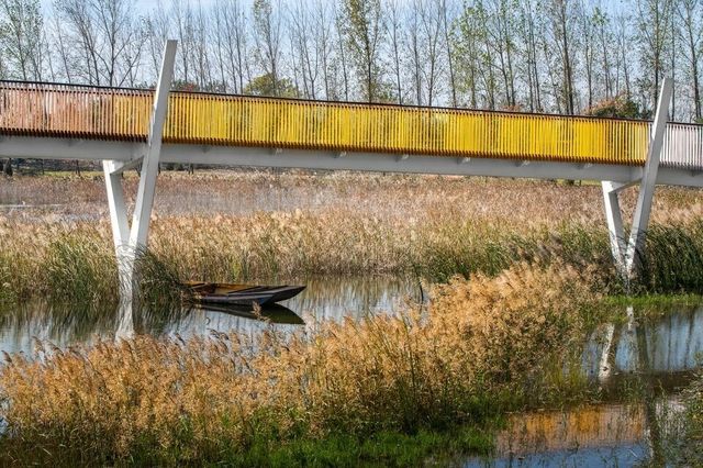 河南 周口沙河灣濕地公園 | 城市生態彈性修復的重要載體