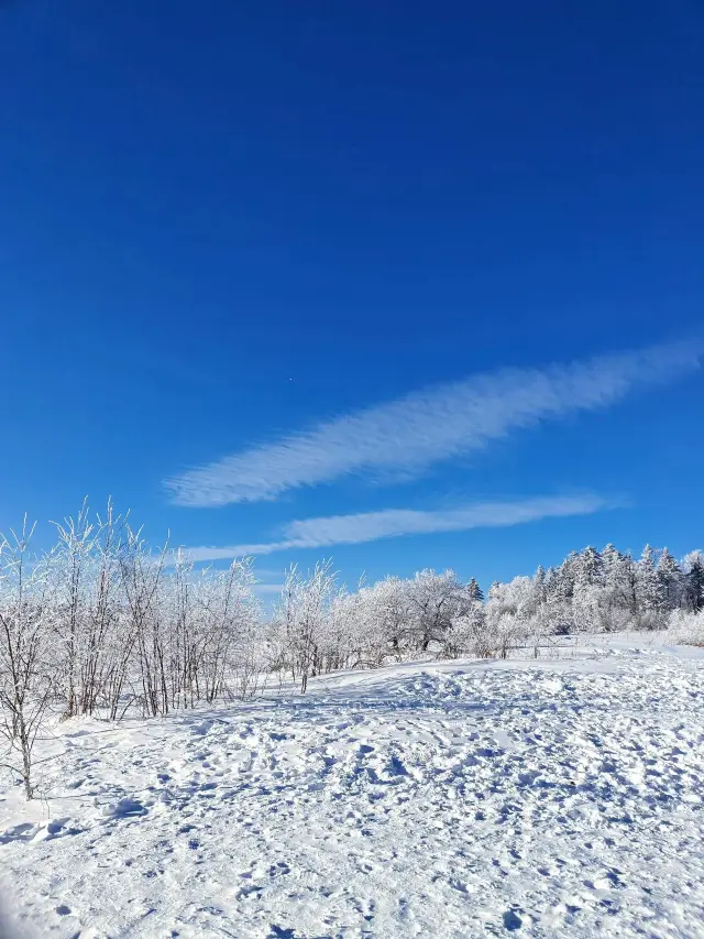 吉林長白山｜この冬は私に長白山に雪を見に行かせてください