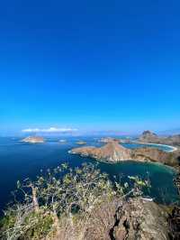 印尼/科莫多島/你見過粉紅色的沙灘嗎？