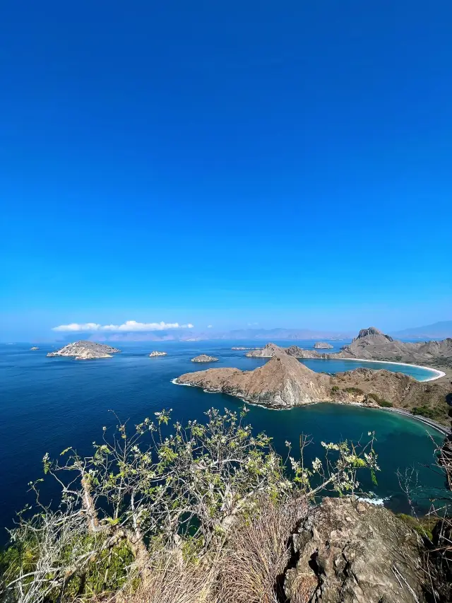 Indonesia/Komodo Island/Have you ever seen a pink beach?