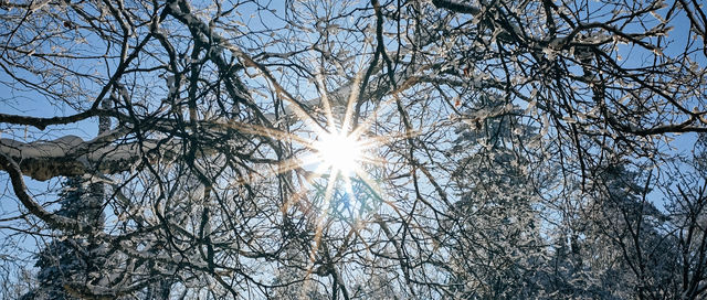 長白山雪嶺｜探索長白山雪嶺的冰雪秘境！