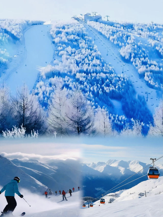 亞布力滑雪 | 哈爾濱冬天的快落