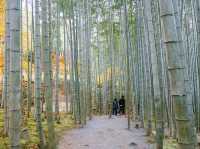 京都景點｜瑞巌山 圓光寺