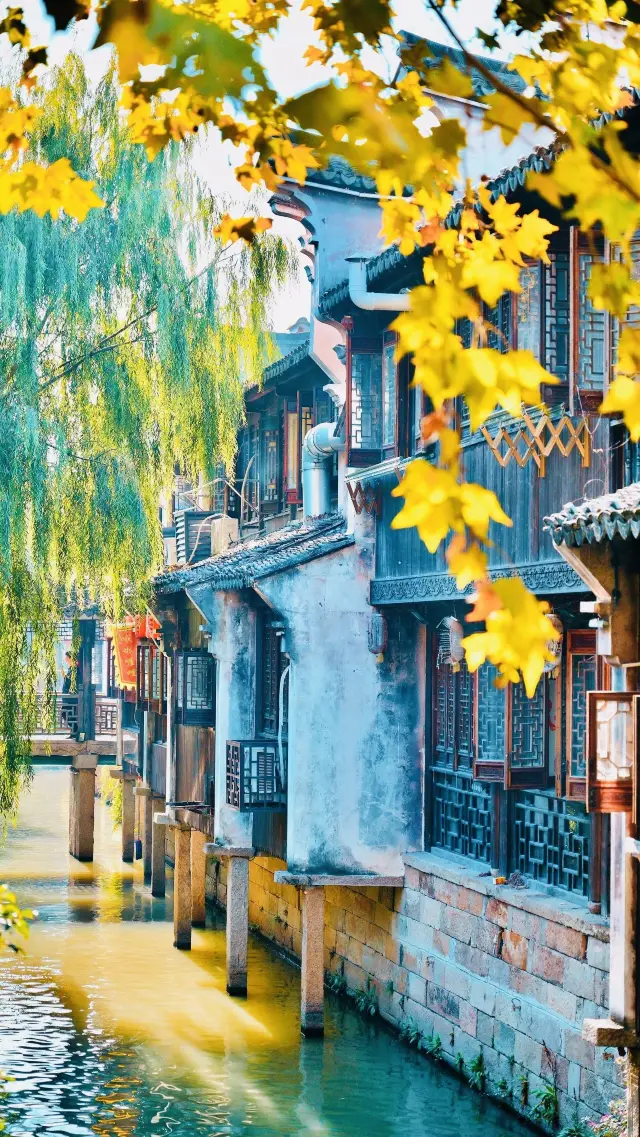 เมืองเก่า Fengjing / ปี Fengjing, สามรุ่นทำงานร่วมกัน, ความสวยงามบานออกมาในความโบราณ