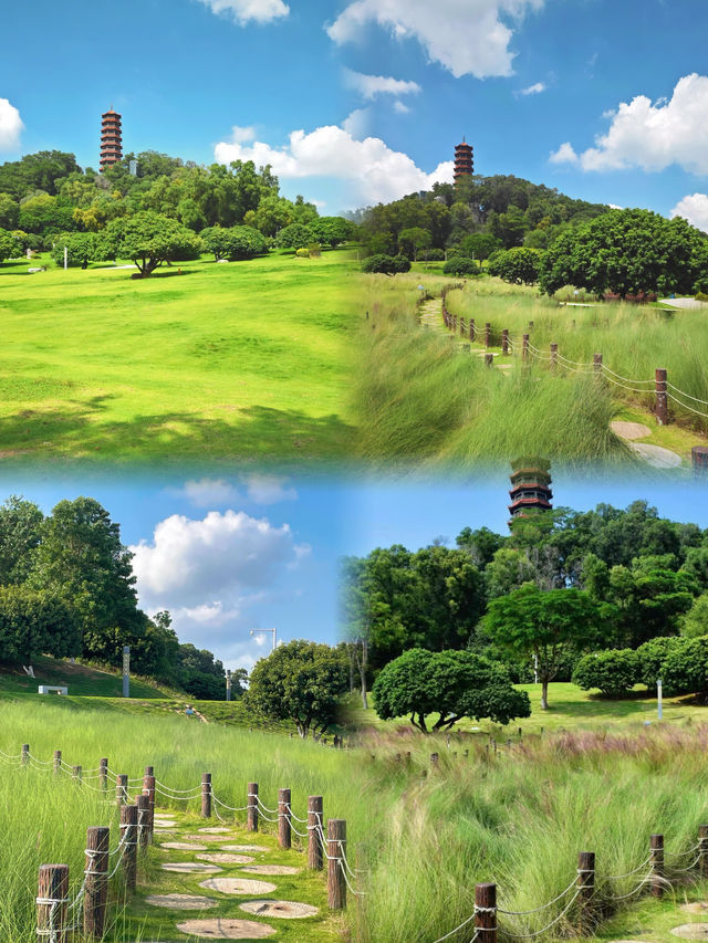 深圳光明紅花山公園：宮崎駿動漫夏天的現實版！