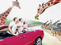 杭州野生動物世界，你去過嗎？