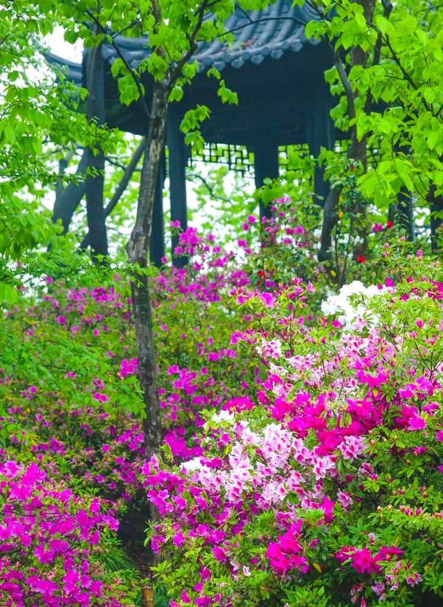 東北最具特色的山水園林莊園——達州市渠縣碧瑤莊園