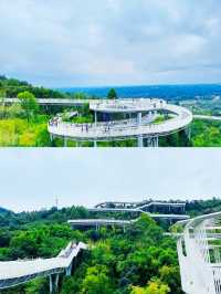 成都！我找到了通往雲端的山頂棧道