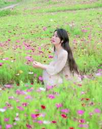 上海之魚花海
