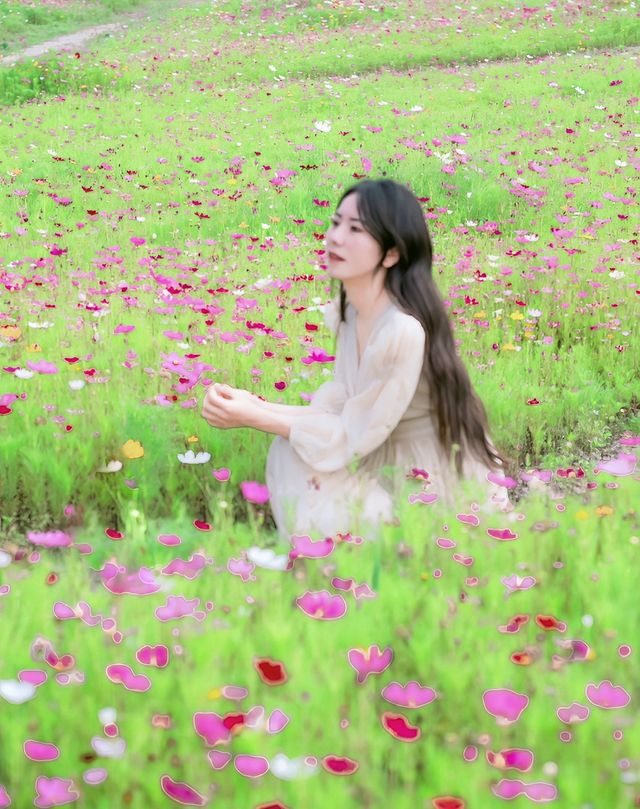 上海之魚花海