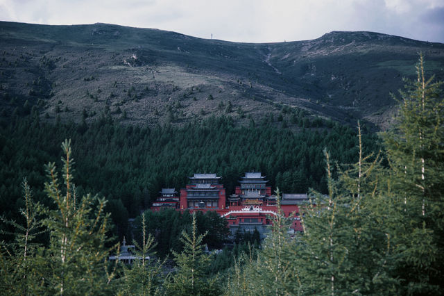 忻州市|五台山朝台大圓滿全攻略