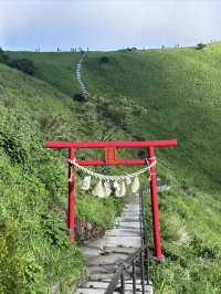 大室山真的像抹茶山